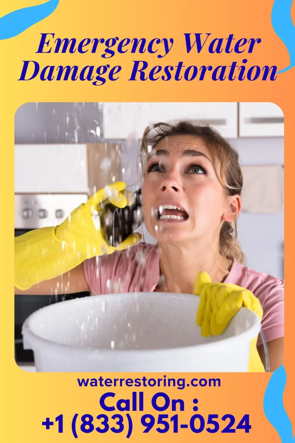 Emergency Water Damage Restoration in Greenbelt, MD