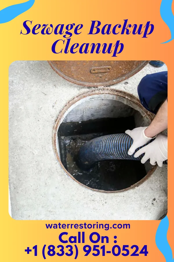 Sewage Backup Cleanup in Greenbelt, MD